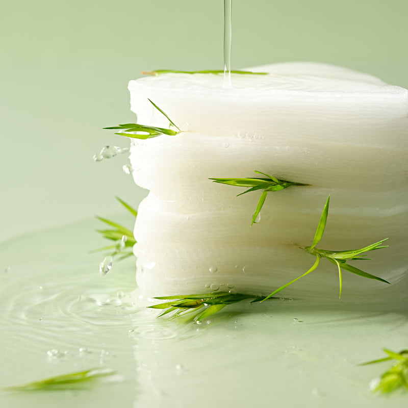 Dr.Ceuracle Tea Tree Purifine Toner Pad