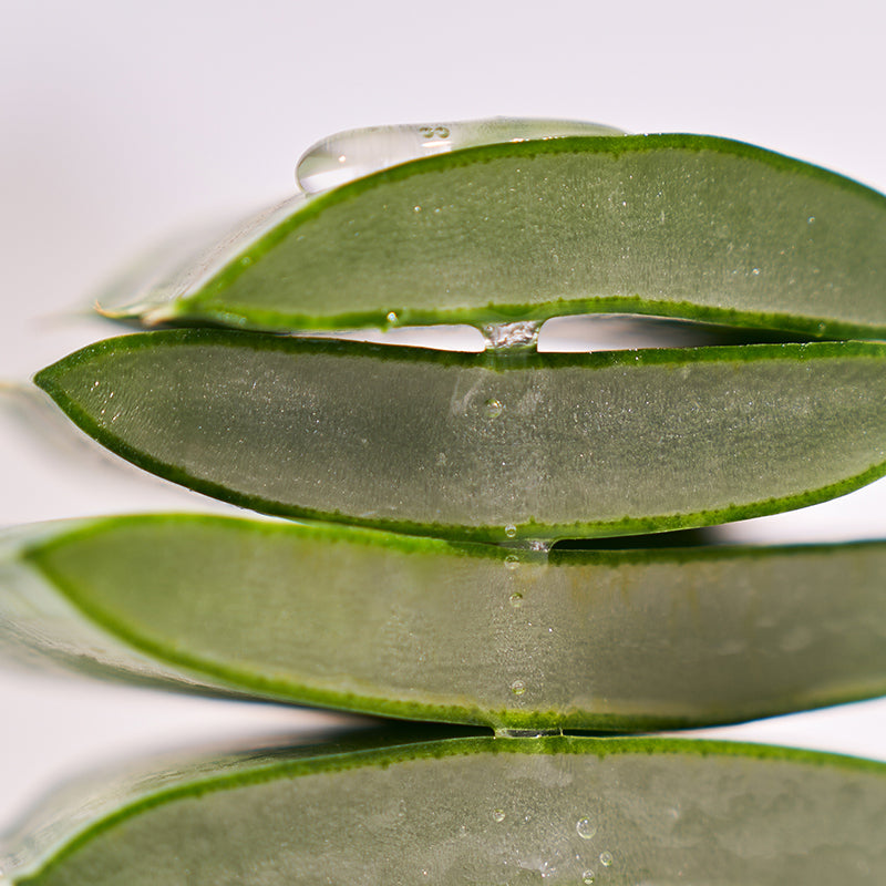 Haruharu Wonder Black Rice Hyaluronic Essence