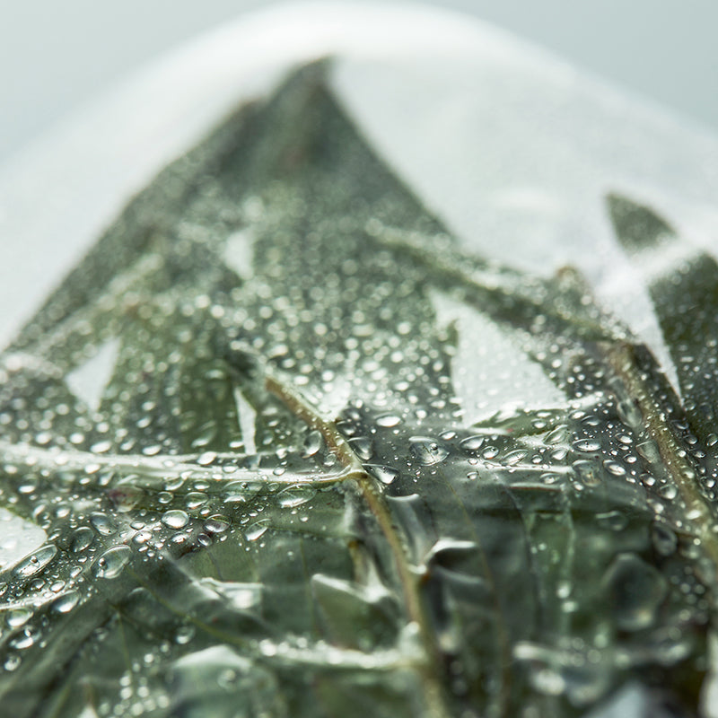 I’m From Vitamin Tree Water-Gel