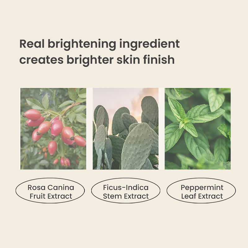 Heimish Artless Perfect Cushion