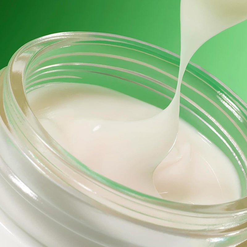 Innisfree Green Tea Seed Hyaluronic Cream