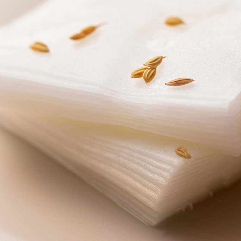 SOME BY MI Galactomyces Glutathione Daily Mask