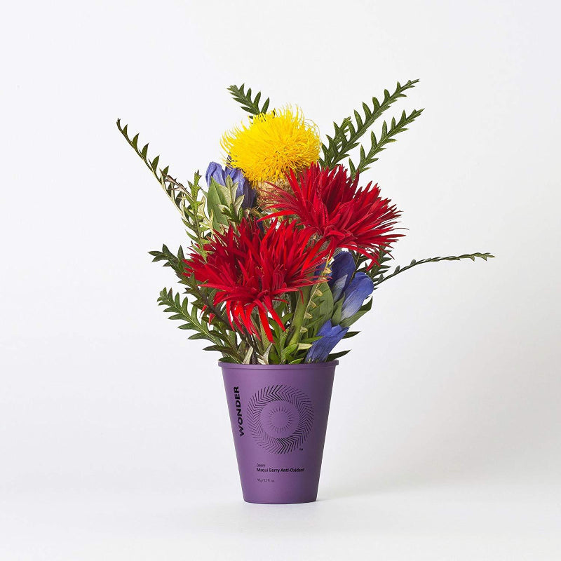 Haruharu WONDER Maqui Berry Anti-Oxidant Cream